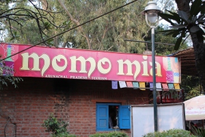 The excellently-named 'Momo Mia' eatery in Dilli Haat market.